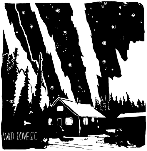 Wild Domestic, Out of Sound Records, London, Ontario, Ottawa, indie, music, canada