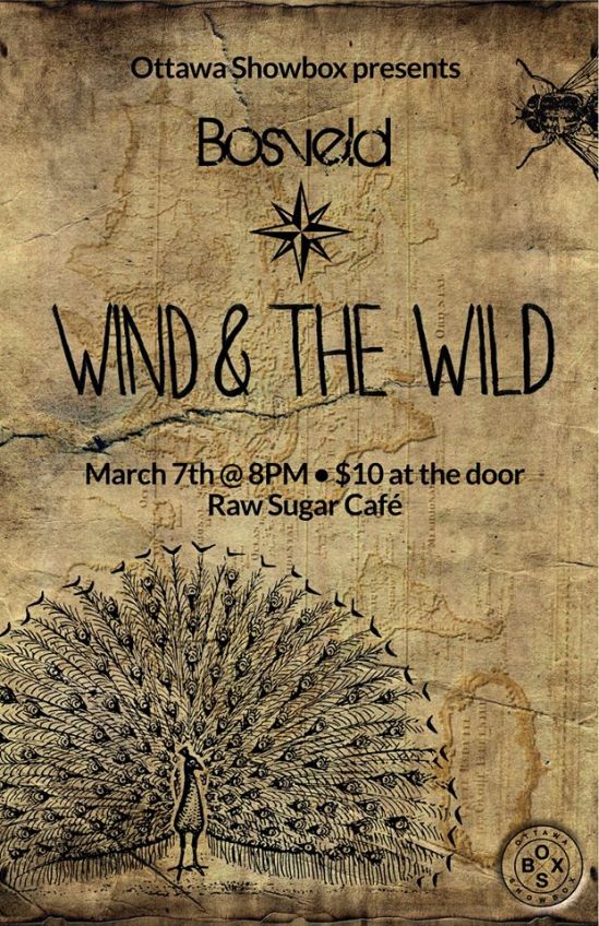 Ottawa Showbox, wind & the Wild, Raw Sugar Cafe,